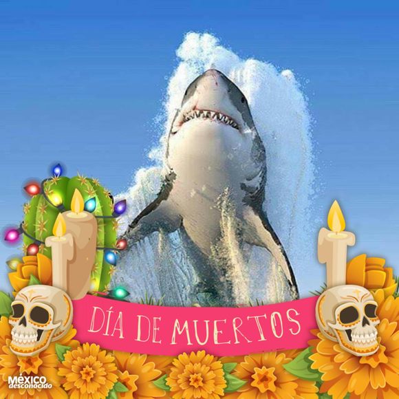 Meet your Posher, Juan - Picture 1 of 1